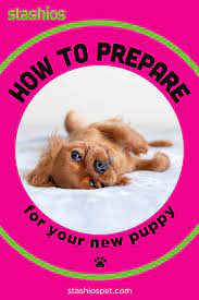 Preparing For Your New Puppy In 2020 Dog Adoption New Puppy Puppies