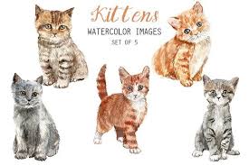 Watercolor Kittens Clipart Animal Clipart Kittens Watercolor Images