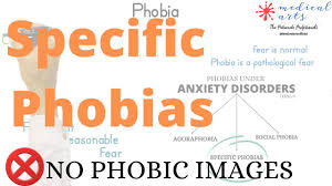 Image result for Specific Phobia