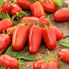 Image result for tomato San Marzano
