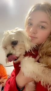 Lost dog found in Montgomery, Alabama near St. James