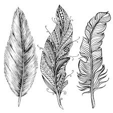 Thanks for watching my coloring pages for kids channel! 1 1 A9 Use Lines To Draw A Feather Overview Drawspace