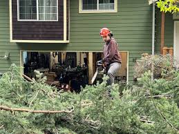 Hard-hit Whatcom County area still reeling from bomb cyclone