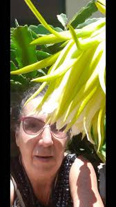 HIPPIE"S WORLD>< PEACE & LOVE