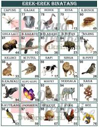 Data processed at mon jul 05 2021 23:59. Adell Delldavc Profile Pinterest