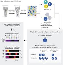 This approach is better than detection of dna, as the presence of rna is more likely associated with the presence of viable organisms. Microdroplet Based One Step Rt Pcr For Ultrahigh Throughput Single Cell Multiplex Gene Expression Analysis And Rare Cell Detection Scientific Reports