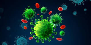 Scrase discusses state vaccine plans and viral. Langkah Strategis Bin Usai Virus Corona B117 Masuk Indonesia Merdeka Com