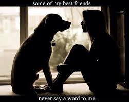 13895 colfax hwy (just past the cedar ridge y) grass valley, ca 95945. Dr Kenneth Steil D O Cpi On Twitter Dog Quotes Dog Lovers Dogs