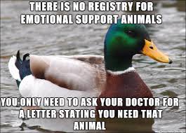 This Is Becoming A Problem Meme On Imgur