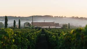 Hnanice 132, hnanice, 66902, česká republika. 12 Tipu Na Vylety Po Jizni Morave