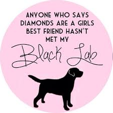 21 Quotes That Will Change The Way You Think About Labradors Black Labs Dogs Black Labs Black Lab