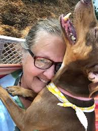 Let me tell you about trixie. We were contacted by a shelter here in  Missouri that this sweet girl needed rescue. All they told us was she had  some dental work that