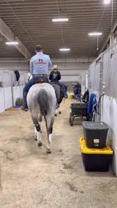 Under the lights with Doc and Bluebell bringing the magic of horses to life  at The PA Horse World Expo’s Theatre Equus! The moments in the arena are  always unforgettable, but it’s the countless hours ...