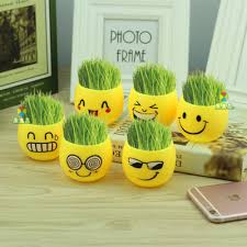 On some systems it can be accessed by using :house_with_garden: 1pc Cute Emoji Bonsai Mini Hair Grass Plant Expression Home Op Pot Desk Decor Garden Planters Lovely Gifts Fashion New Hot Buy At The Price Of 0 44 In Aliexpress Com Imall Com