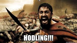 As the cryptocurrency closes in on the $20,000 mark, more people are considering a jump into here are the 26 best memes from around the cryptocurrency communities. Hodl Bedeutung Und Ursprung Ein Bitcoin Meme Wird Geboren