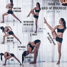 Bird Of Paradise Yoga Pose Yogaposesandstretches Yoga Yogaposes Yogafitness Yogatraining Yogapinterest Yogaforbegginer Advanced Yoga Yoga Help Yoga Tips