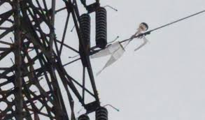 Maybe you would like to learn more about one of these? Layang Layang Nyangkut Listrik Di Pamekasan Dan Sumenep Padam Bagian 1