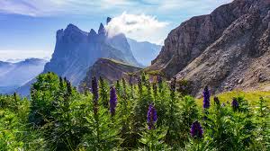Over 40,000+ cool wallpapers to choose from. Informationen Seceda Seilbahnen Ag St Ulrich In Groden Dolomiten Sudtirol Italien
