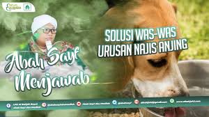 Memimpikan hal ini memiliki arti yang cukup positif. Solusi Was Was Urusan Najis Anjing Abah Sayf Menjawab Youtube