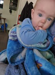 Chuck me some dinner ideas for 7 month old please 🙏