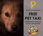With our Free Pet Taxi Service we are... - Junior's Puppyland ...