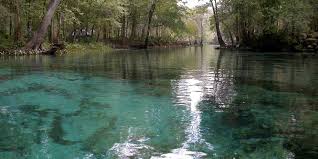 The santa fe river begins its journey at lake santa fe, lake alto and their associated swamps northeast of gainesville in north florida. Osfr Board Members Speak Out On Nestle Wuft Our Santa Fe River Inc Osfr