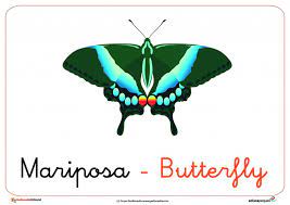 Fichas De Animales Para Ninos Fichas De Los Insectos Fichas De Animales Lenguaje En Ninos Clase De Ingles