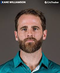 Kane Williamson's masterclass at Seddon Park