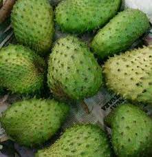Kita sebagai pengguna akan kerugian kerana kandungan vitamin dan nutrien dalam buah terbabit sudah berkurangan dan tidak memberikan. Pemborong Buah Buahan Tempatan Dan Luar Negara Thailand Termurah Zieylah Community Facebook
