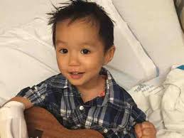 Fundraiser for Dara Harper by Toby Darrington : Medical Bills For Xiloh