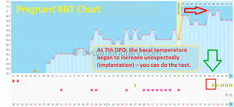 7 Day Past Ovulation Dpo Signs Of Successful Conception