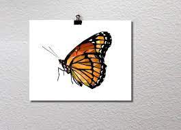 The best selection of royalty free monarch butterfly vector art, graphics and stock illustrations. Butterfly Art Monarch Butterfly Butterfly Print Geometric Art Print Geometric Poster Geometric Geometric Art Prints Butterfly Art Geometric Poster