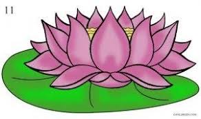 50 Easy Ways To Draw A Rose Learn How To Draw A Rose Flower Drawing Flower Drawings With Color Lotus Drawing