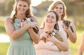 Puppies bring a sense of laughter and joy that's unexplainable, says photographer mychelle levan. Instead Of Flowers This Bridal Party Posed With Rescue Puppies Wearing Tiny Flower Crowns Gma