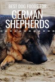 Best dog foods for german shepherd puppies. The Very Best Dog Food For German Shepherds Dogfood Dognutrition Germanshepherds Gsd Petphotography Best Dog Food Best Dog Food Brands Dog Food Recipes