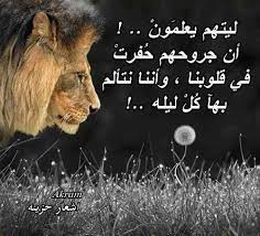 pin by شجون الليل on صور animals beautiful gorgeous cats animals wild