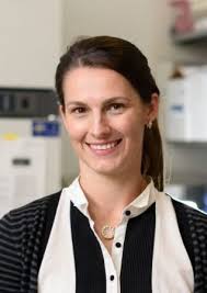 Triangle Global Health