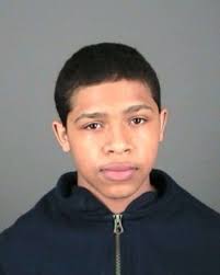 22 charged in Capital Region drug ring