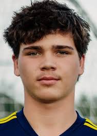 All-Region Boys Soccer: Huron's Ian Petrick, Milan's Hayes lead team