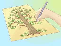 Anggota dan sisilah keluarga dalam bahasa inggris & artinya. 3 Cara Untuk Menggambar Pohon Silsilah Wikihow