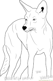Pictures of coyotes coloring pages are a fun way for kids of all ages to develop creativity, focus, motor skills and color. Eastern Coyote Coloring Page For Kids Free Coyote Printable Coloring Pages Online For Kids Coloringpages101 Com Coloring Pages For Kids