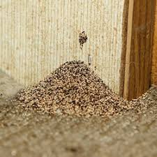 See more of brothers termite and pest service on facebook. Pest Control In Petaluma Yelp