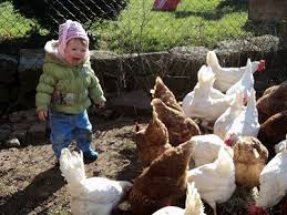 Ferienwohnung Ferien Und Erlebnisbauernhof Spiegel Ideal Fur Kinder Ferien Auf Dem Bauernhof Ferien Urlaub Auf Dem Bauernhof