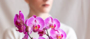 Doppio nastro e applicazione di tre fiorellini. Tipi Di Orchidea Da Coltivare In Appartamento La Nostra Top 5 Floralgarden