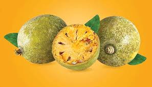 You can click on the link on the left to access the website and purchase the ebook. Instant Indian Home Remedy For Constipation