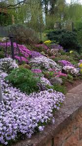 Pin By Amy Albers On Garten Plants Yard