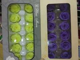 Maybe you would like to learn more about one of these? Wholesale Preserved Fresh Flowers Freeze Dried Roses With 4 5 Cm Rose Head From Yunnan