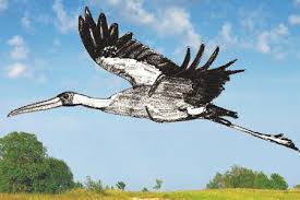 Cobalah membuat dengan kertas tima untuk bangau metalik. Cara Menggambar Bangau Arahan Langkah Demi Langkah Untuk Pemula Maklumat Berguna Untuk Semua Orang