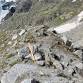 Bernina Ultraks event image