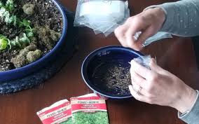 Edenbrothers.com has been visited by 10k+ users in the past month Cure Your Cabin Fever With Free Green Thumb Therapy Join The Gardening Challenge Kxl